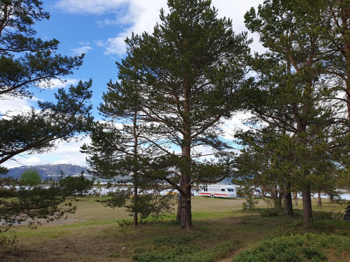 Solvang Camping Og Leirsted Alta Eksteriør billede
